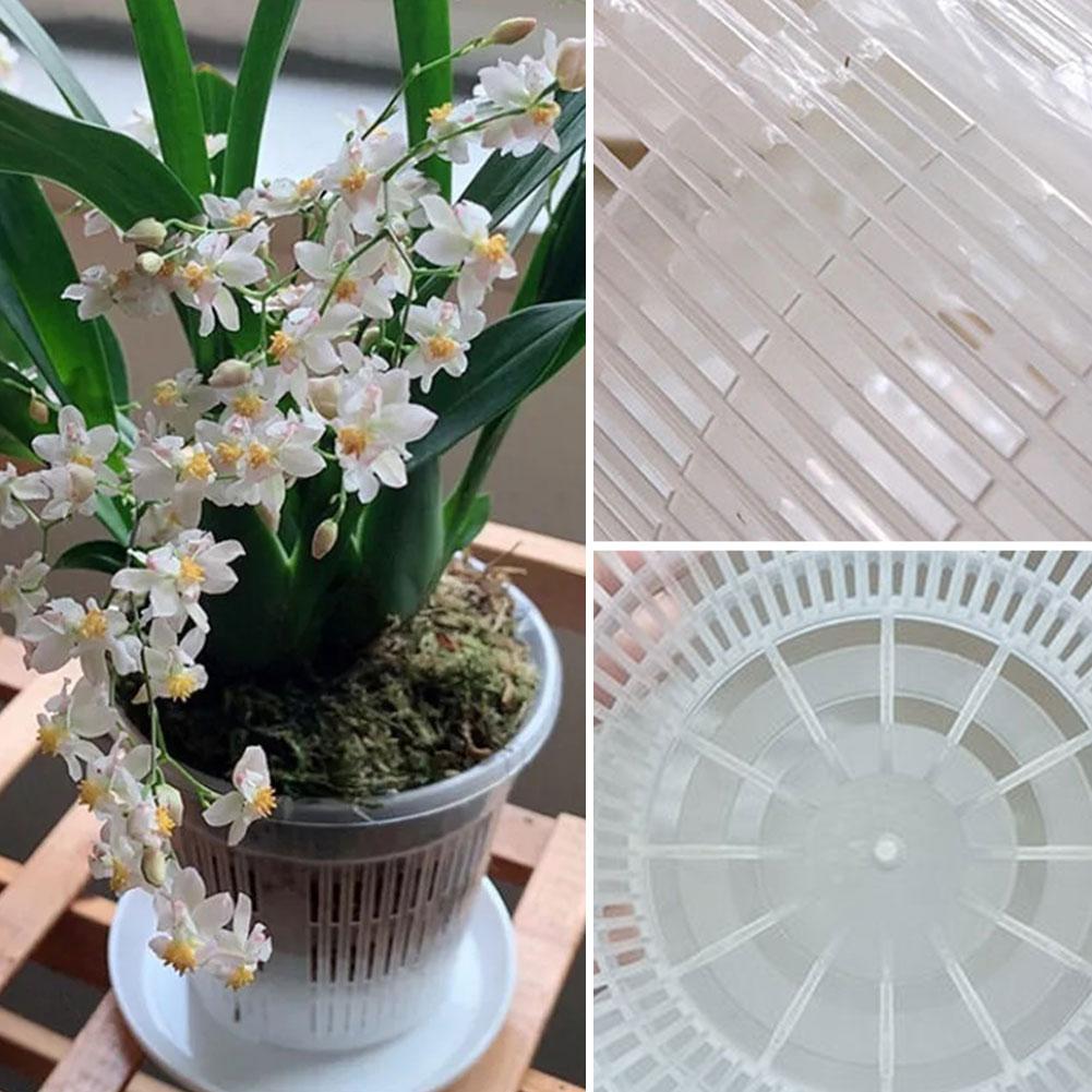 Aloe Vera Pot - Mesh Pot Root Control Transparent Flowerpot