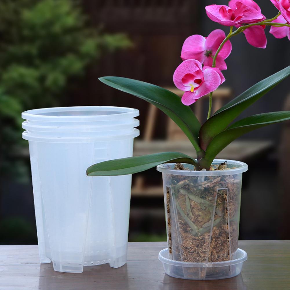 Plastic Root Control Transpare - đánh giá và giá Aloe Vera Pot