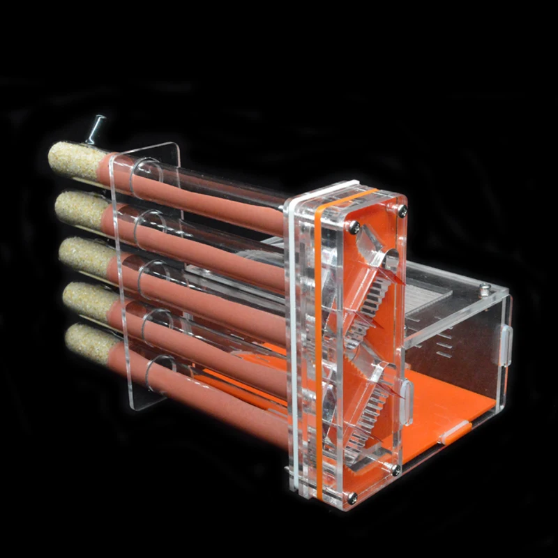 Tự Làm Acrylic Kiến Nông Trại  - đánh giá và giá Begonia Rex
