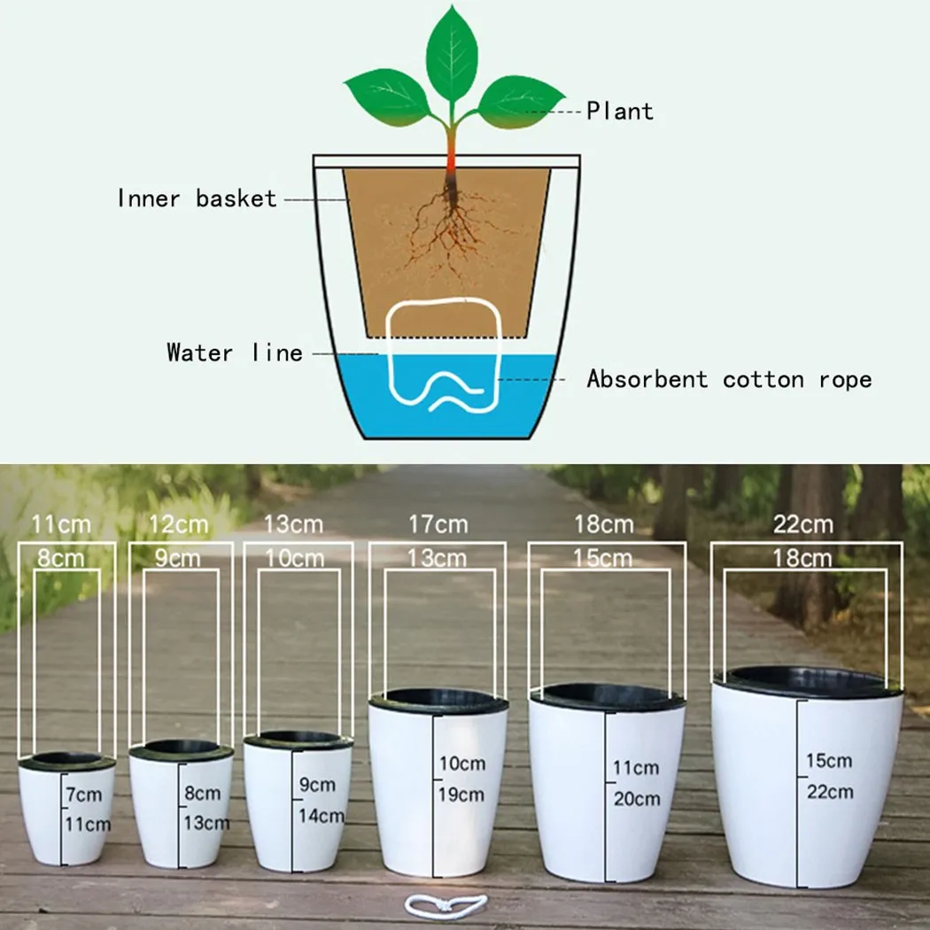Lazy Flower Pot Self-Watering  - đánh giá và giá Aloe Vera Pot