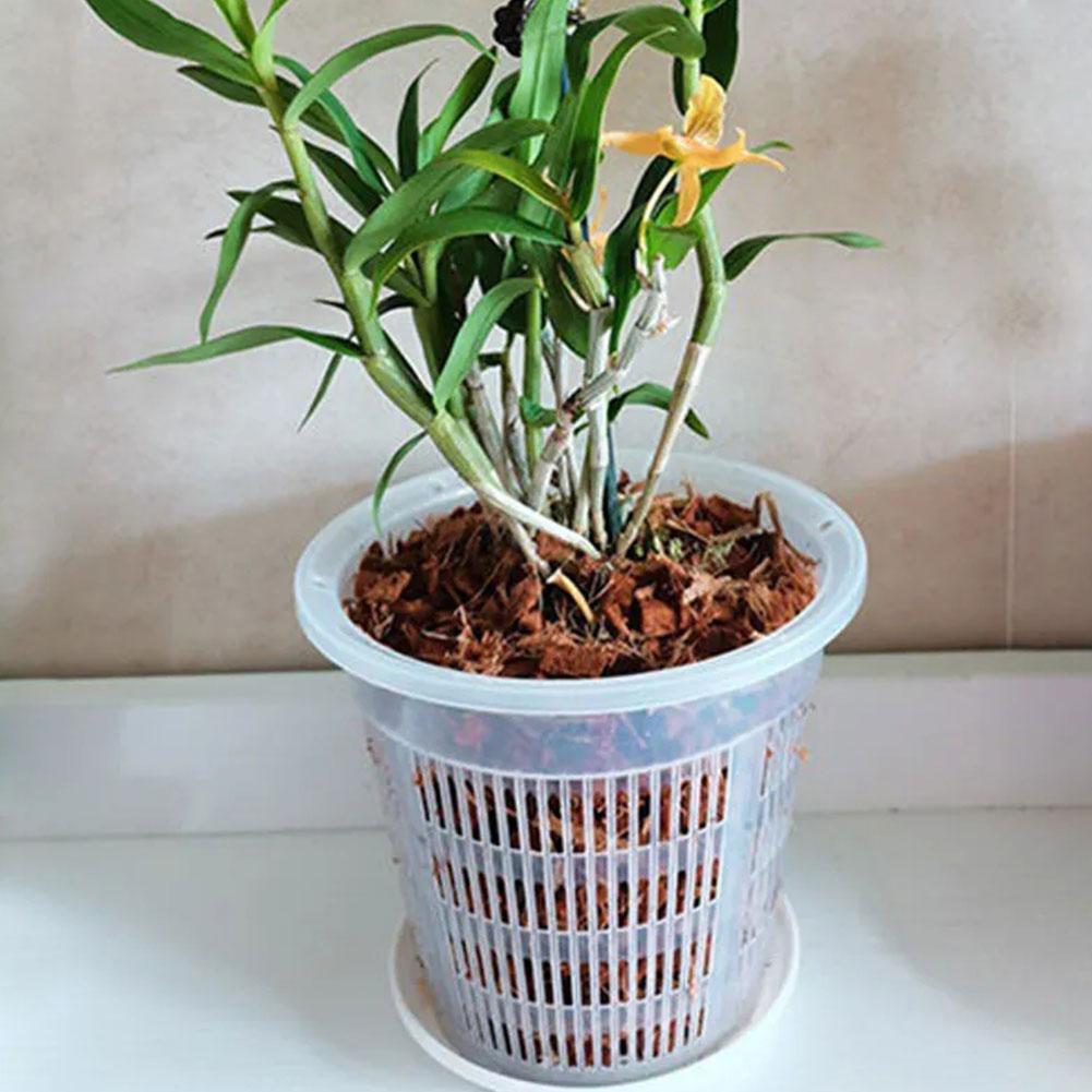 Mesh Pot Root Control Transpar - đánh giá và giá Aloe Vera Pot