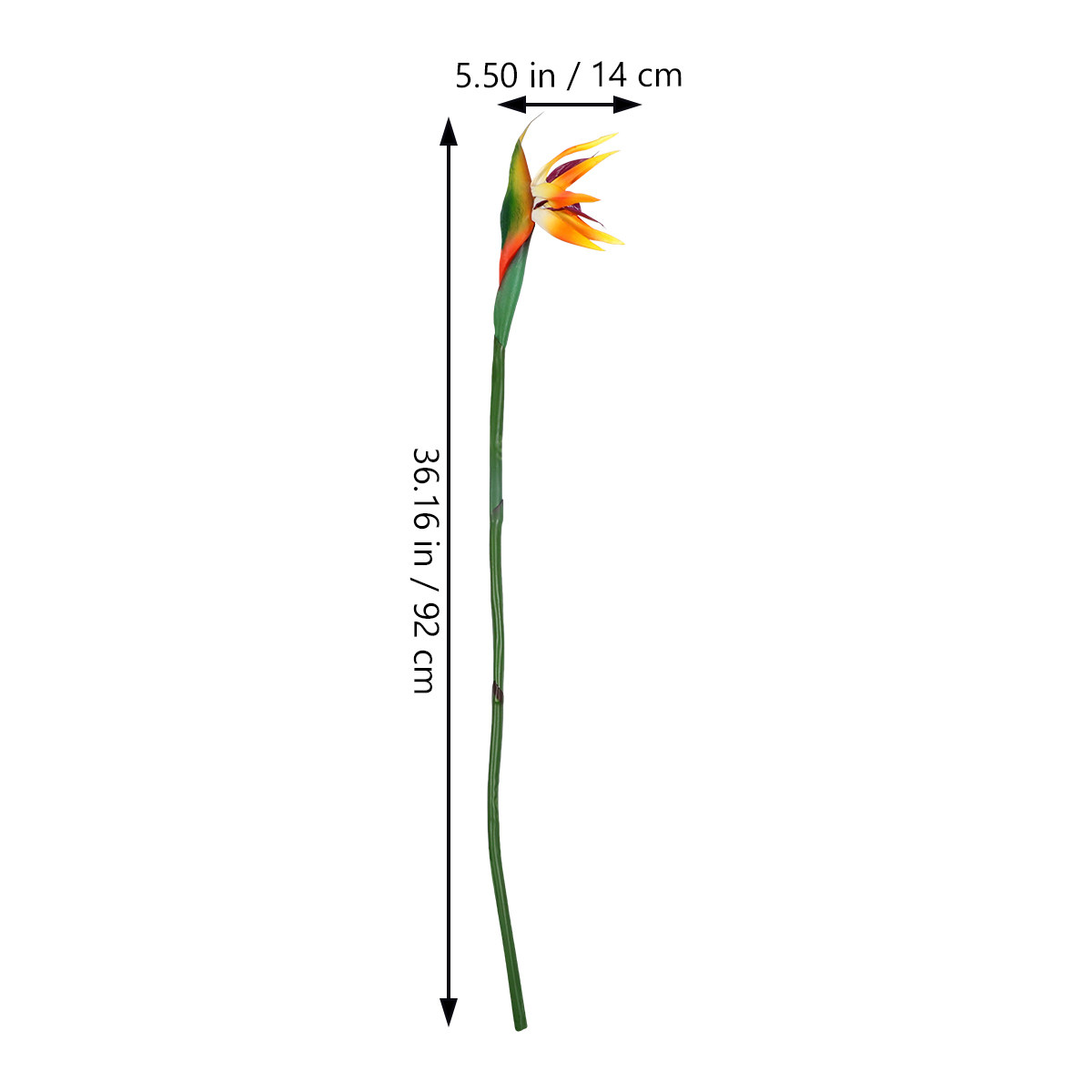 Faux Bird of Paradise Artifici - đánh giá và giá Bird Paradise Strelitzia