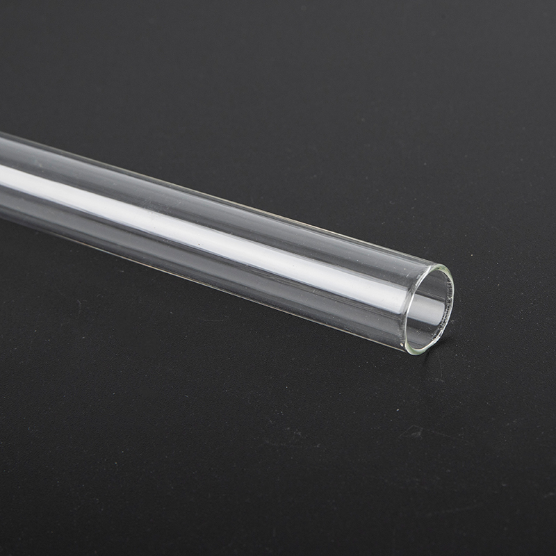 15-18Mm DIY Kiến Nông Trại Thủ - đánh giá và giá Begonia Rex