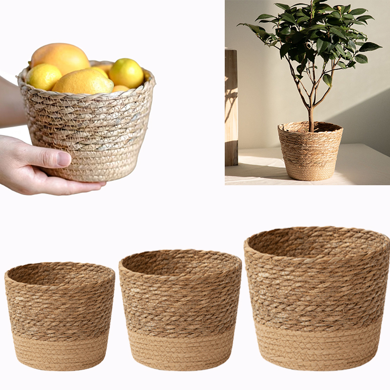 Multi-purpose Woven Storage Ba - đánh giá và giá Aloe Vera Pot