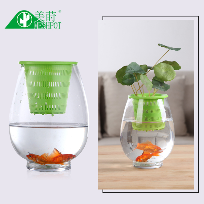 Meshpot 3 Nhựa Nhiều Màu Sắc T - đánh giá và giá Aloe Vera Pot