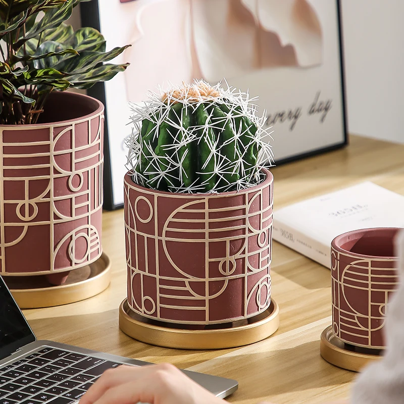 Simple Cylindrical Ceramic Flo - đánh giá và giá Aloe Vera Pot
