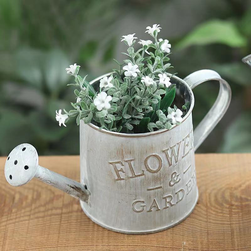 Barrels Garden Decoration Tin  - đánh giá và giá Aloe Vera Pot